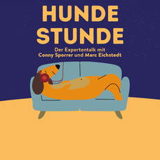 Hundestunde