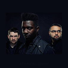 Animals as Leaders