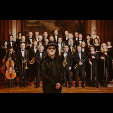 SWR Big Band & Paul Carrack