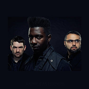Animals as Leaders