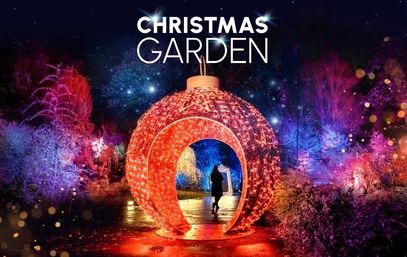 Christmas Garden