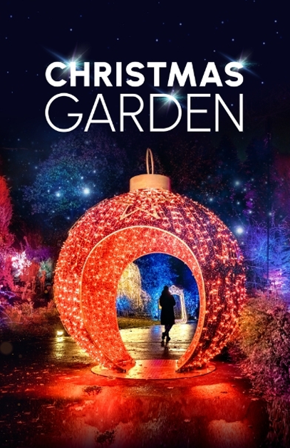 Christmas Garden