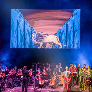 Der König der Löwen