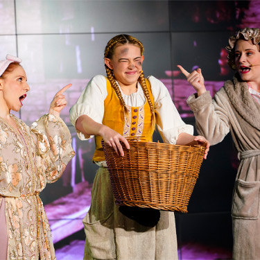 Drei Haselnüsse für Aschenbrödel - Das Musical