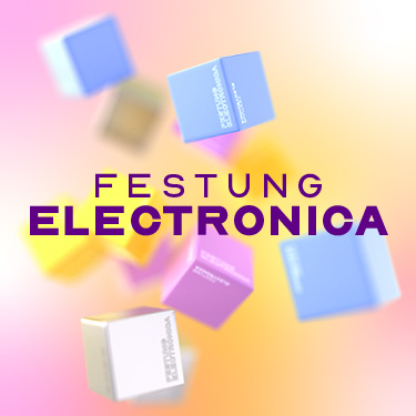 Festung Electronica
