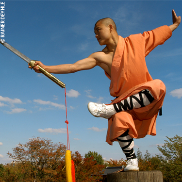 Masters Of Shaolin Kung Fu