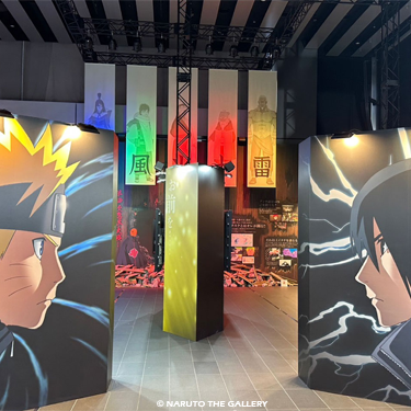 NARUTO THE GALLERY