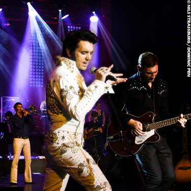 The Musical Story of Elvis