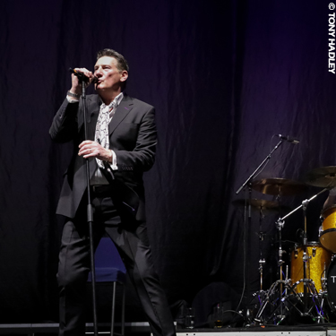 Tony Hadley