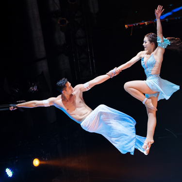 Weihnachtscircus Regensburg